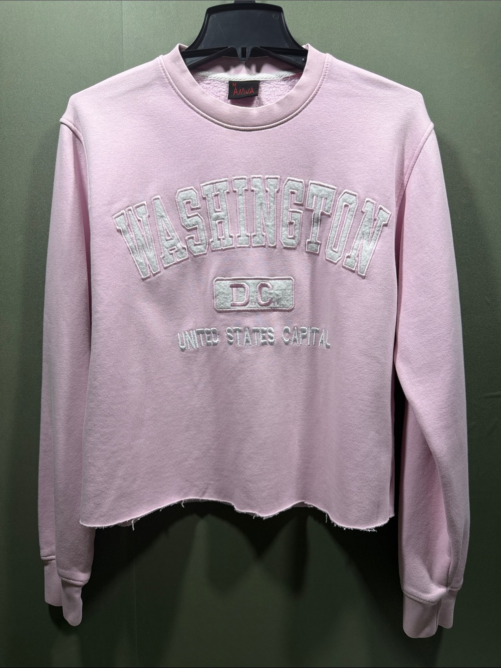 Anwa Washington DC Sweatshirt Women Size M Pink Excellent Raw Hem Embroidered